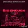 About Big Enough To Do It Song