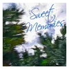 About Sweet Memories (feat. Slim Grim) Song