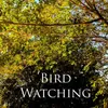 About Bird Watching (feat. Maria Lousie) Song