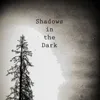 Shadows in the Dark (feat. Sarah Ringer)