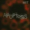 Apoptosis