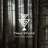 About New World Song