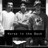 About Horse in the Back (feat. Big B & Mitch Denney Bud) Song