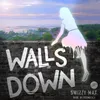 About Walls Down Song