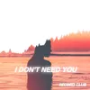 About I Don't Need You Song