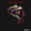 About Without You Song