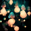 Fairy Lights