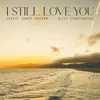 About I Still Love You (with Billy Currington) Song