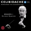 Brahms: Symphony No. 1 in C Minor, Op. 68: I. Un poco sostenuto - Allegro