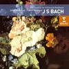 Bach, J.S.: Violin Sonata in E Minor, BWV 1023: III. Allamande
