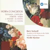 Horn Concerto in D Major, P. 134: II. Allegro non troppo