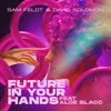 About Future In Your Hands (feat. Aloe Blacc) Song