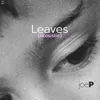 Leaves (Acoustic)