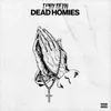 About Dead Homies Song