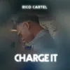 About Charge It Song