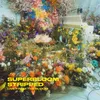 About SUPERBLOOM (stripped) live from the bloom Song