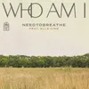 About Who Am I (feat. Elle King) Song