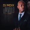 Umvulo (feat. Zanda) [Radio mix]