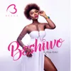 About Beshiwo (feat. Bisa Kdei) Song