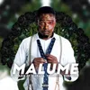 About Malume (feat. Reba Red, Youngsta CPT and Maraza) Song