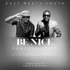 About Be Nice (feat. Roberto) Song