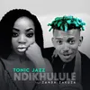 About Ndikhulule (feat. Zanda Zakuza) Song