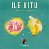 Ile Kitu (feat. Kaskazini)