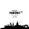 About Yɛwobi (We've Got It) Song