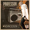 About Ndincedeni 2 (feat. Dalom Kids, MSK and Mr Luu) Song