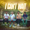 About I Can't Wait Song