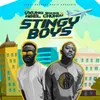 About Stingy Boys Song