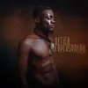 Warriors (feat. Stonebwoy and Mr Leo)
