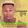 About Woza Summer (feat. Queen Lolly, Skoropo and AirBurn Sounds) Song