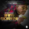 About Iam Sorry (feat. Mapara A Jazz and Colano) Song