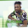 Sukuma (feat. Ntosh Gazi)