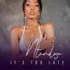 It's Too Late (feat. Liza Miro)