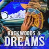 About Backwoods And Dreams Song