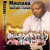 Sathane Tshaba Mo Tseleng (feat. Nkosana)