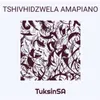About Tshivhidzwela Amapiano Song
