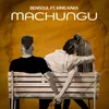 About Machungu Song