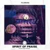 Spirit of Praise