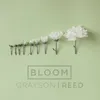 About Bloom Radio Version Song