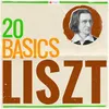 Piano Concerto No. 2 in A Major, S. 125: I. Adagio sostenuto assai - Allegro agitato assai - Un poco più mosso