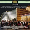 Violin Concerto in G Minor, RV 315, "Summer" from "The Four Seasons": III. Presto. Tempo impettuoso d'estate