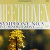 Symphony No. 5 in C Minor, Op. 67: IV. Allegro