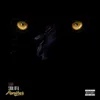 Soul of a Panther (feat. Abryanna Curtiss)