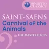 Carnival of the Animals, R. 125: III. Wild Asses