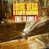 Free To Love (David Morales Disco Loop Mix)