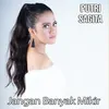 About Jangan Banyak Mikir Song