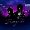 About Incognito (feat. Alkaline) Song